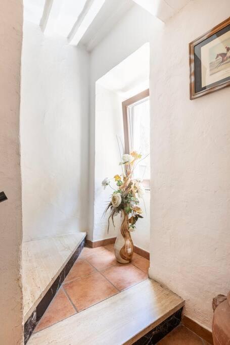 Appartement Casa Nel Corso à Pitigliano Extérieur photo