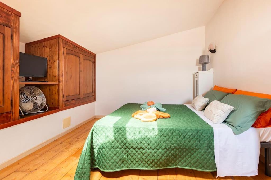 Appartement Casa Nel Corso à Pitigliano Extérieur photo